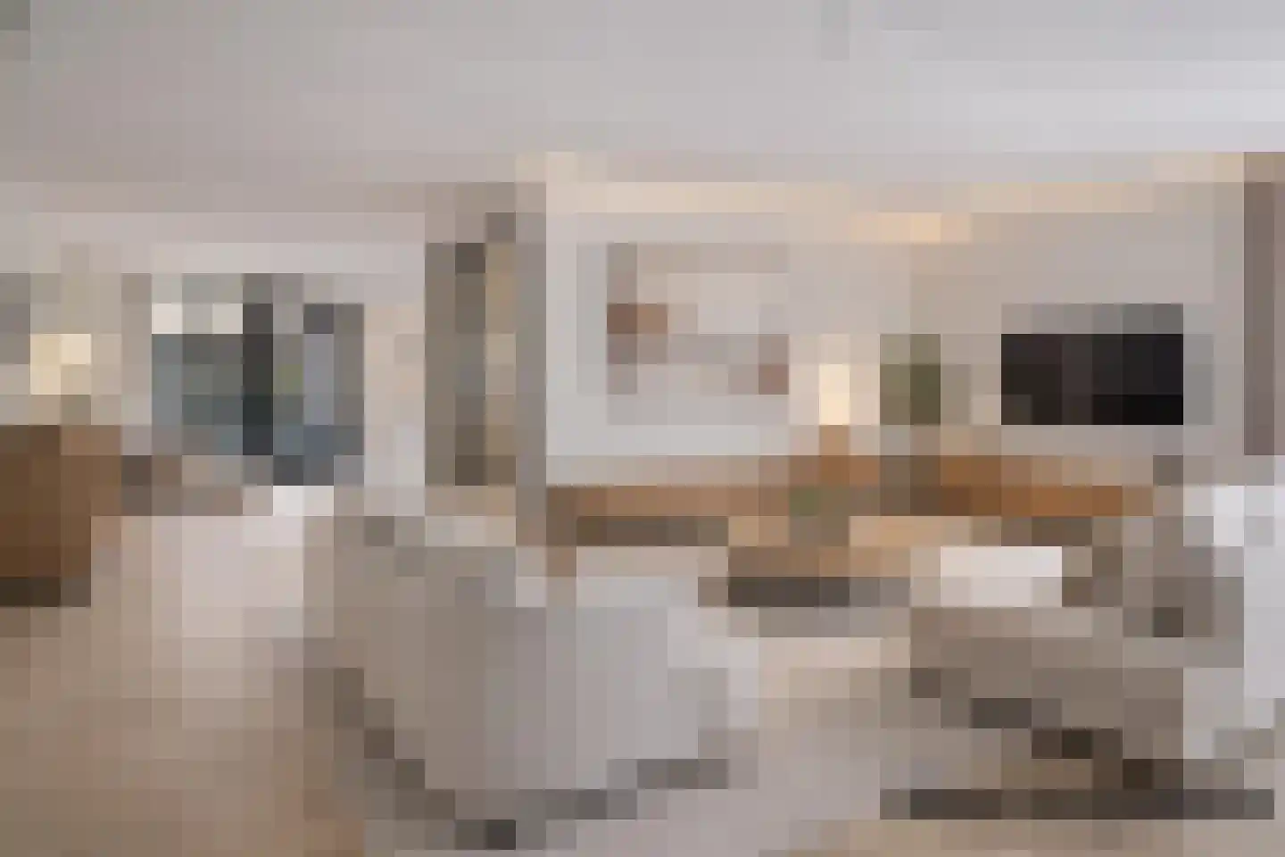 Fidelio 21 Kampen thumbnail 7