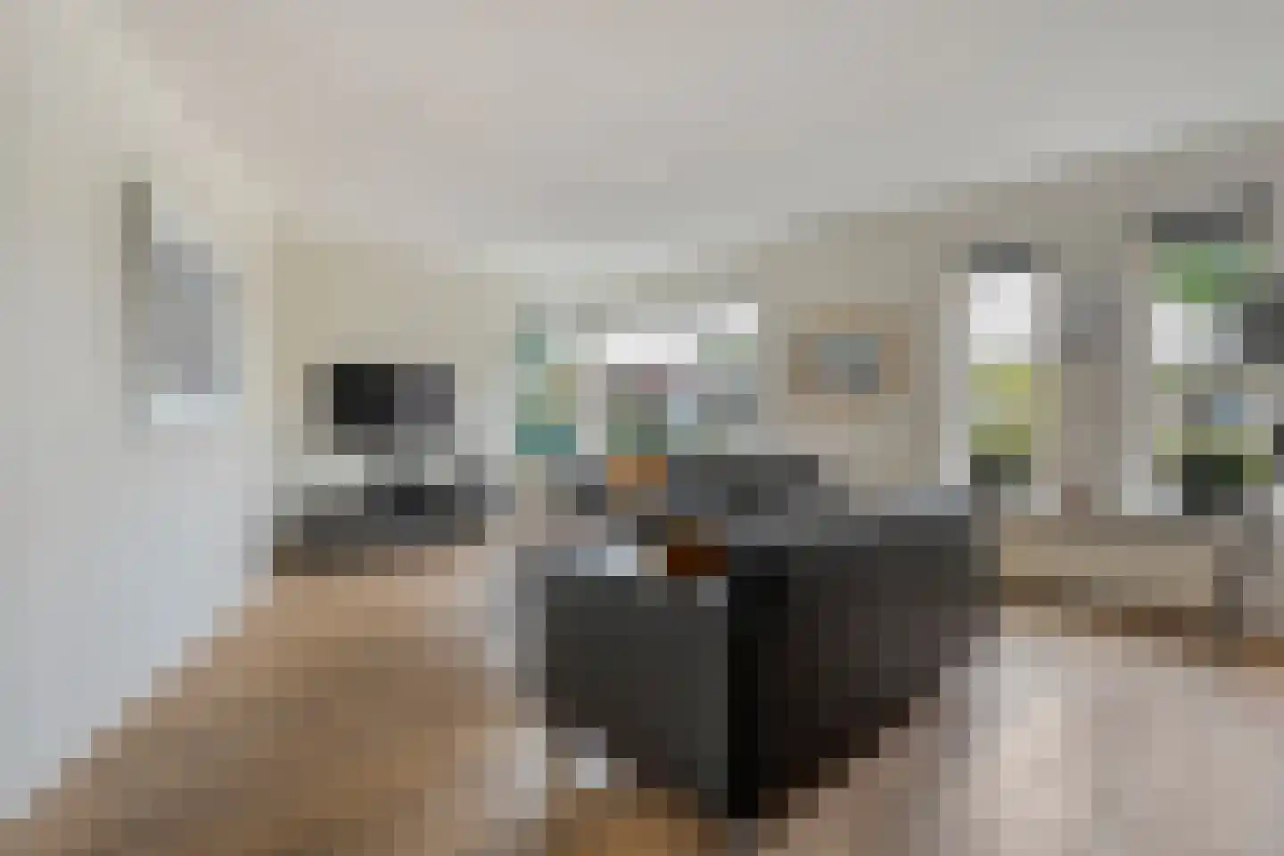 Fidelio 21 Kampen thumbnail 8