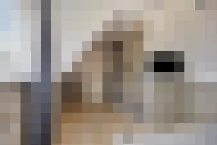 Fidelio 33 Kampen thumbnail 35