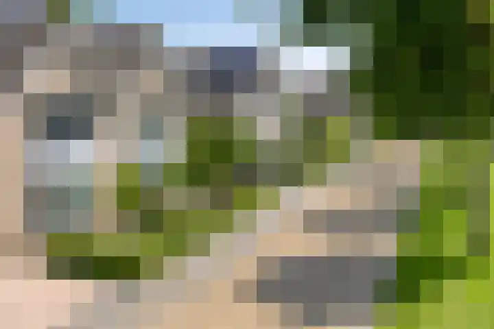 Fidelio 33 Kampen thumbnail 7