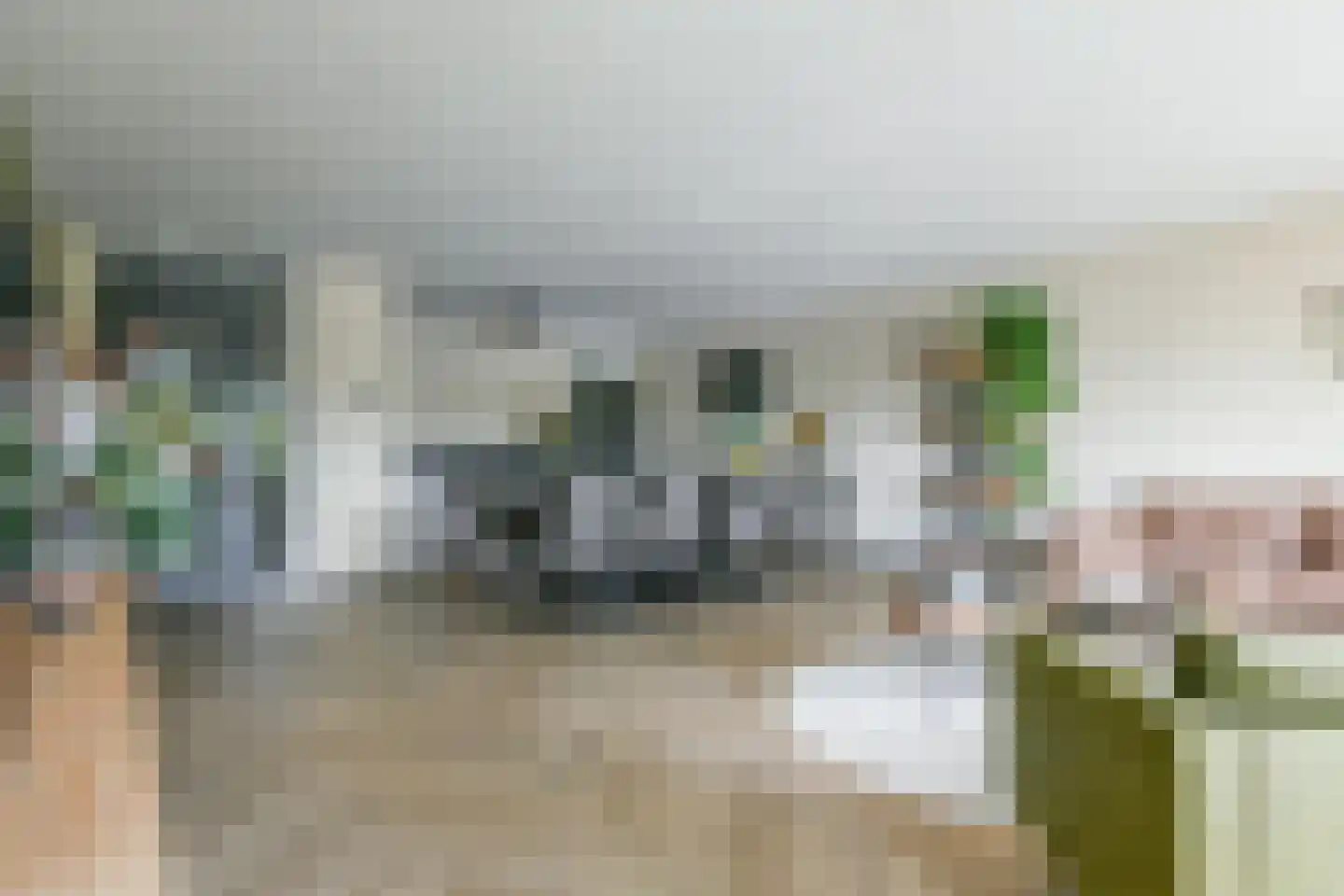 Fideliolaan 10 Nieuw-Vennep thumbnail 19