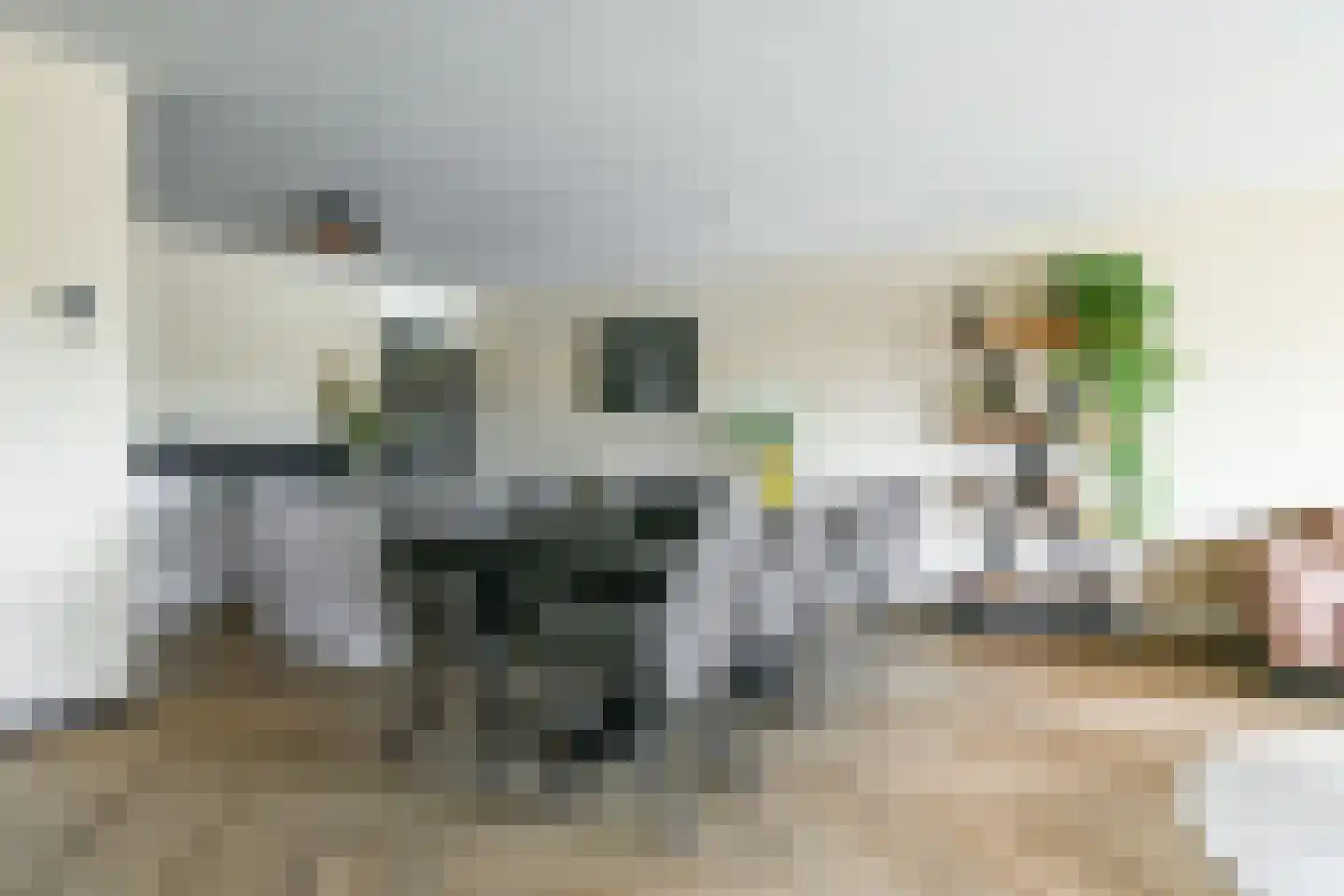 Fideliolaan 10 Nieuw-Vennep thumbnail 21