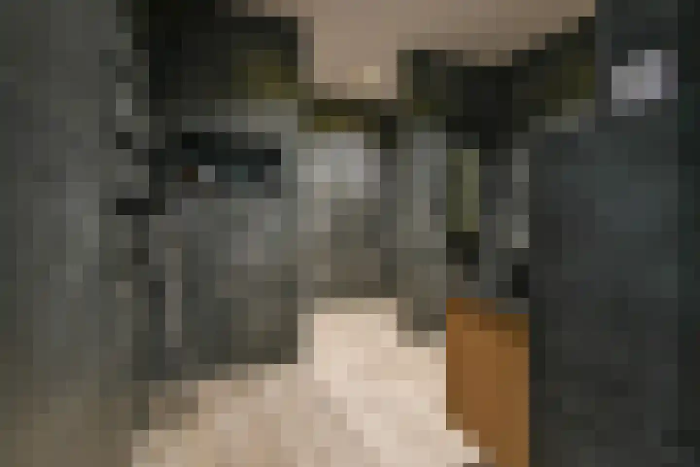 Fideliolaan 10 Nieuw-Vennep thumbnail 33