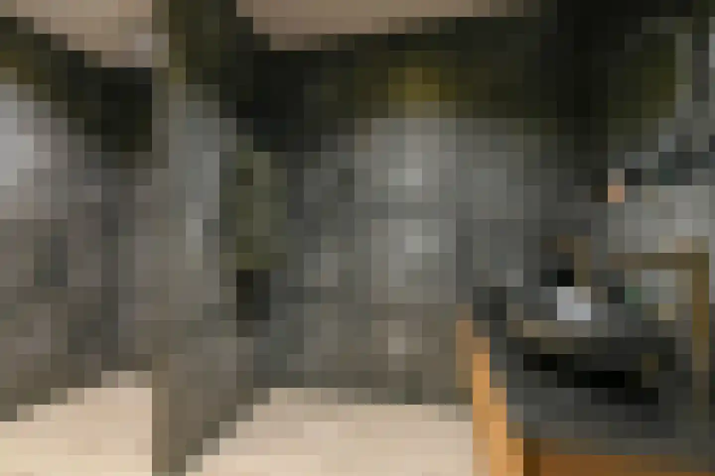 Fideliolaan 10 Nieuw-Vennep thumbnail 34
