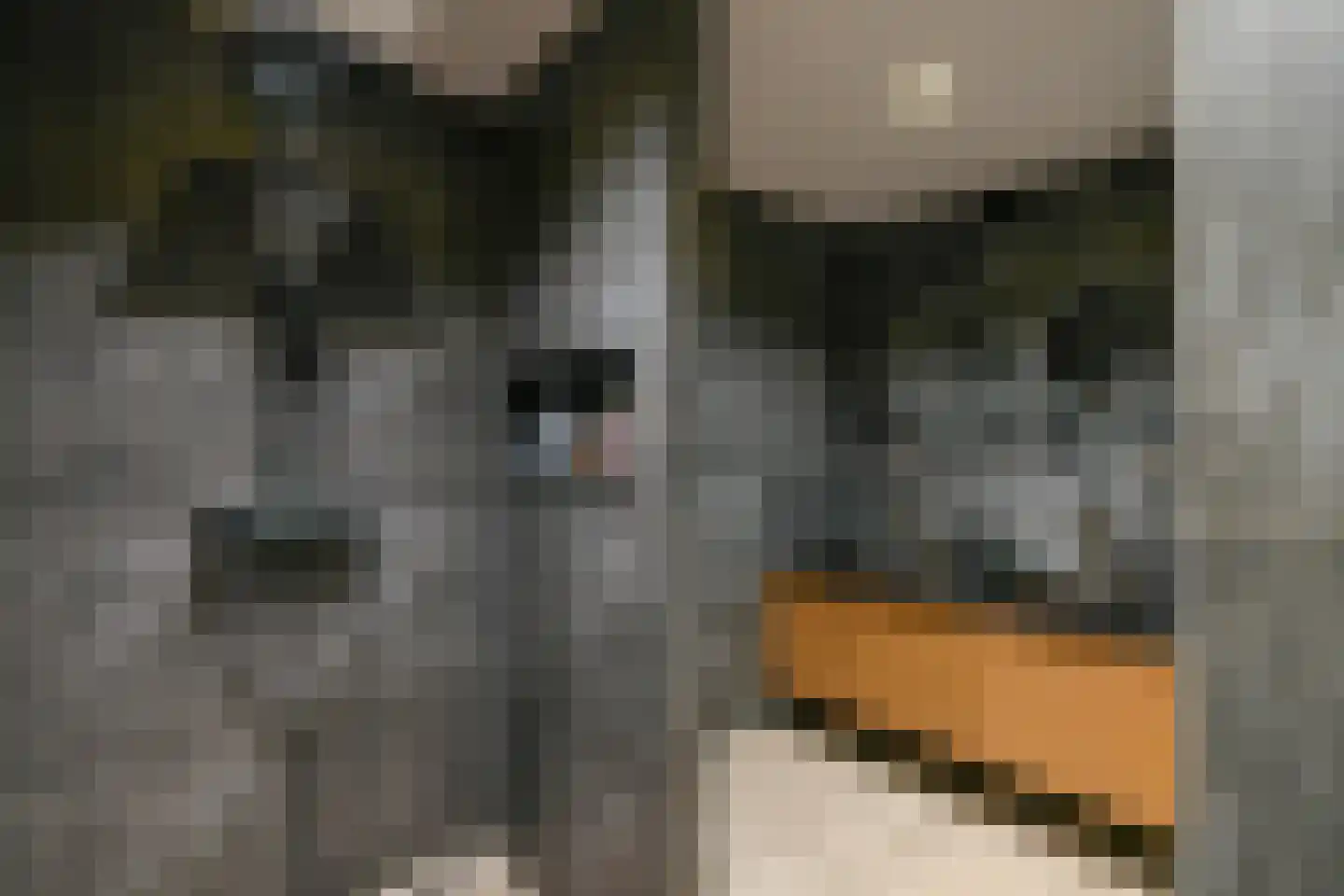 Fideliolaan 10 Nieuw-Vennep thumbnail 36