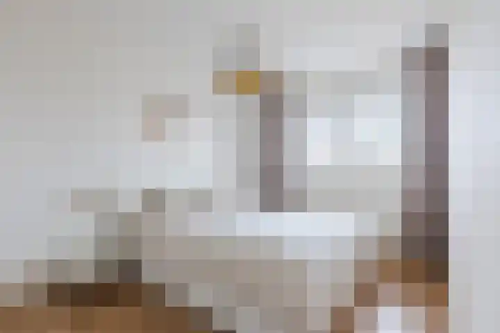 Fideliolaan 126 Amstelveen thumbnail 16