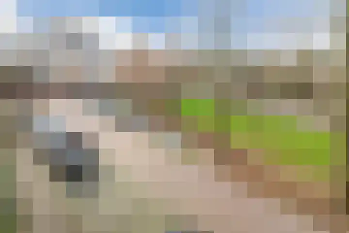 Fideliolaan 126 Amstelveen thumbnail 28