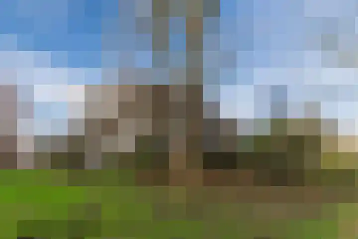 Fideliolaan 126 Amstelveen thumbnail 40