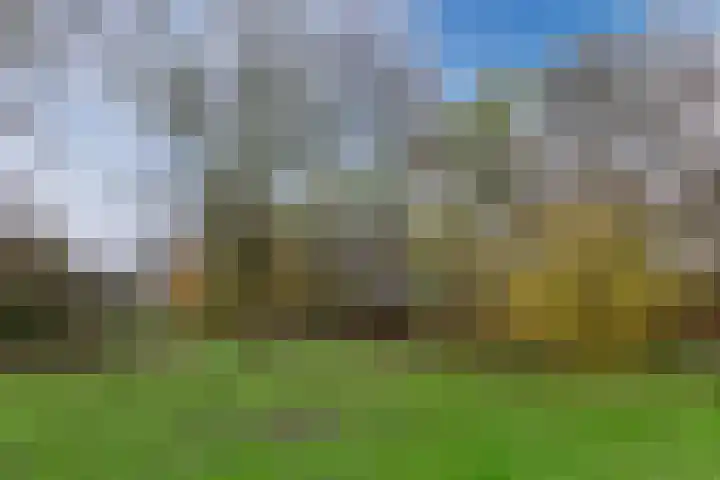 Fideliolaan 126 Amstelveen thumbnail 43