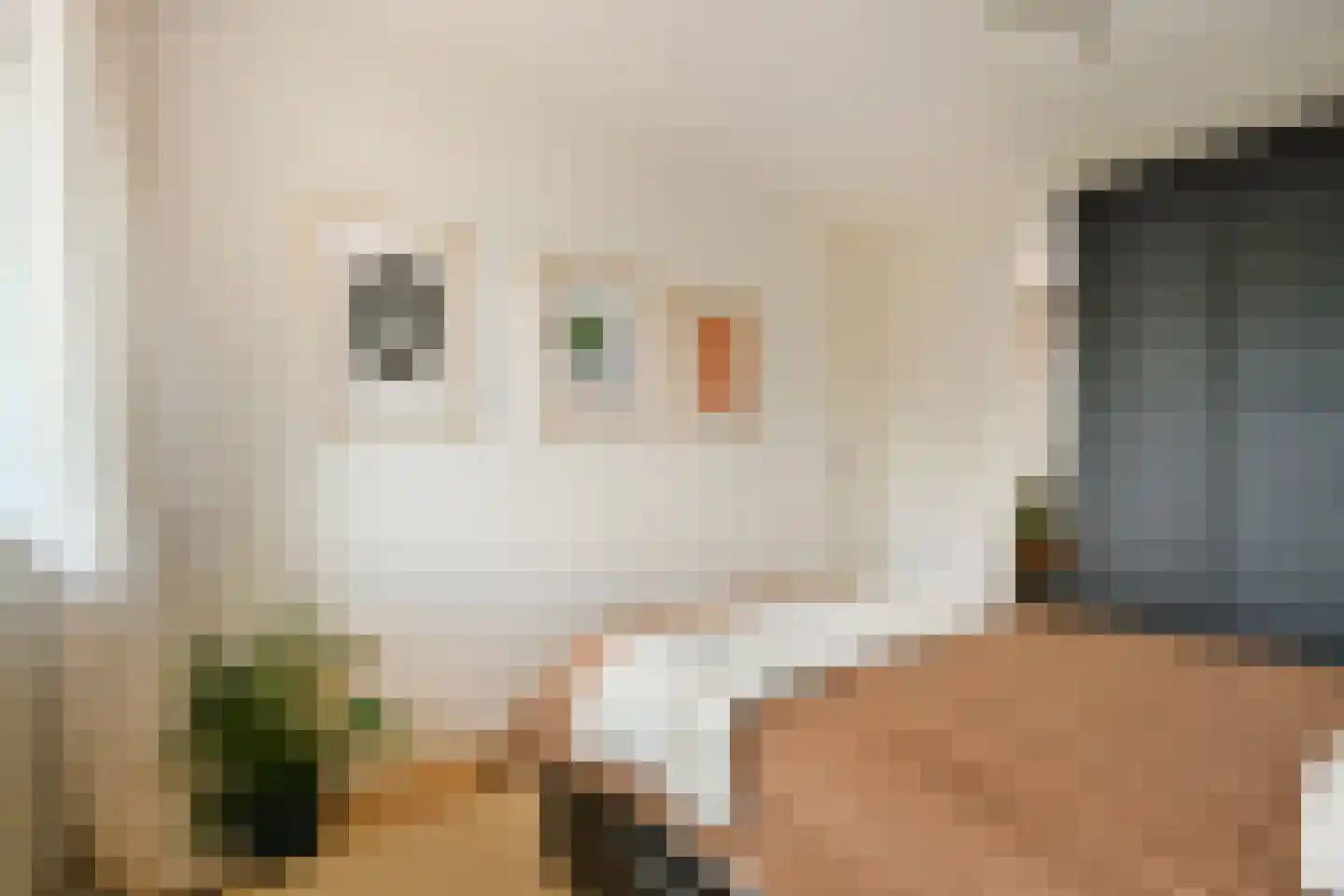 Fideliolaan 134 Amstelveen thumbnail 16
