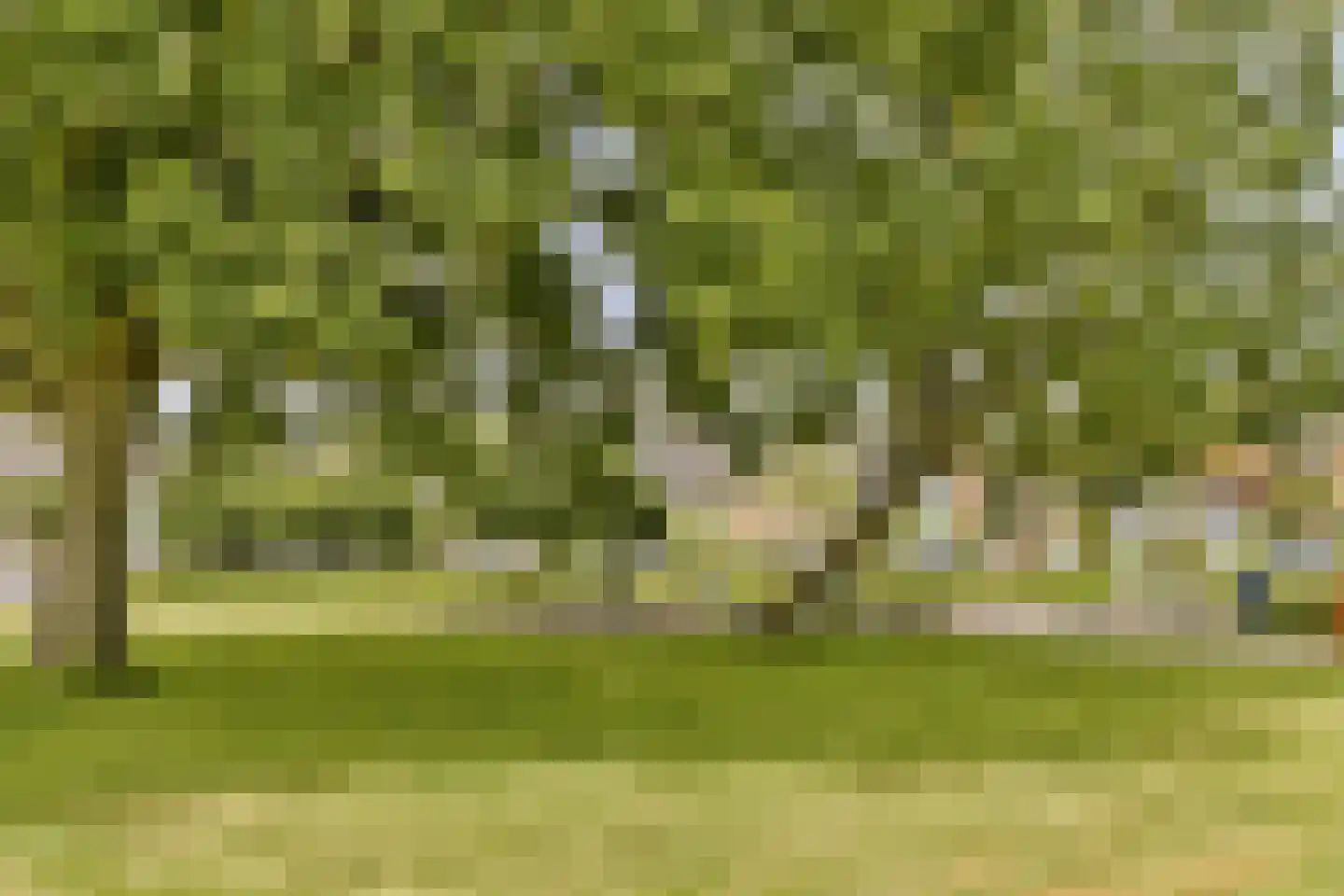 Fideliolaan 134 Amstelveen thumbnail 23