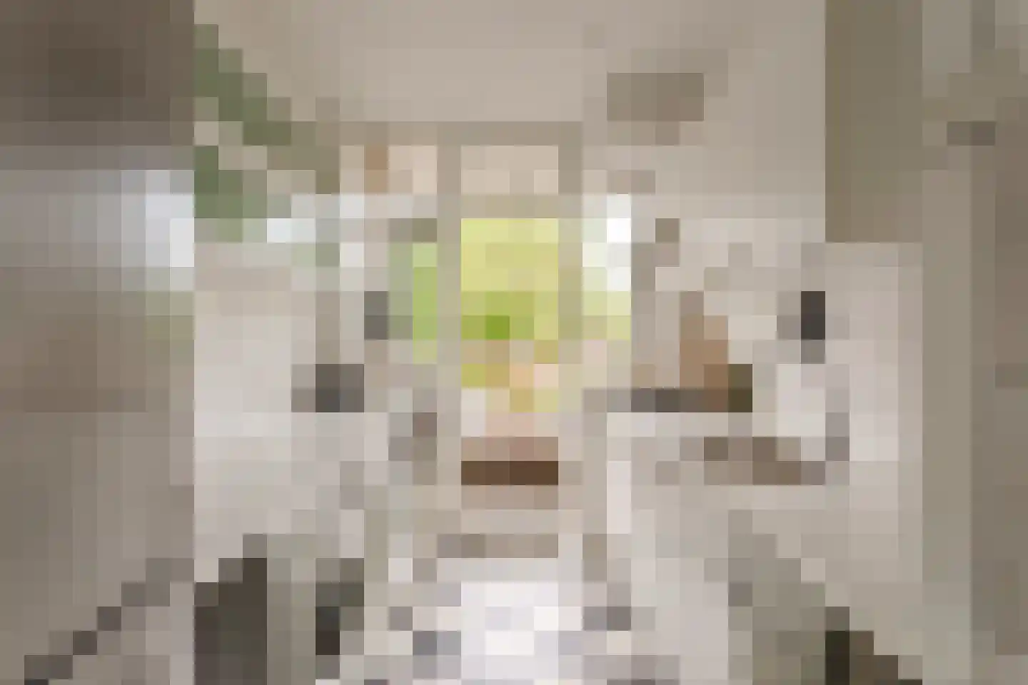 Fideliolaan 140 Amstelveen thumbnail 10