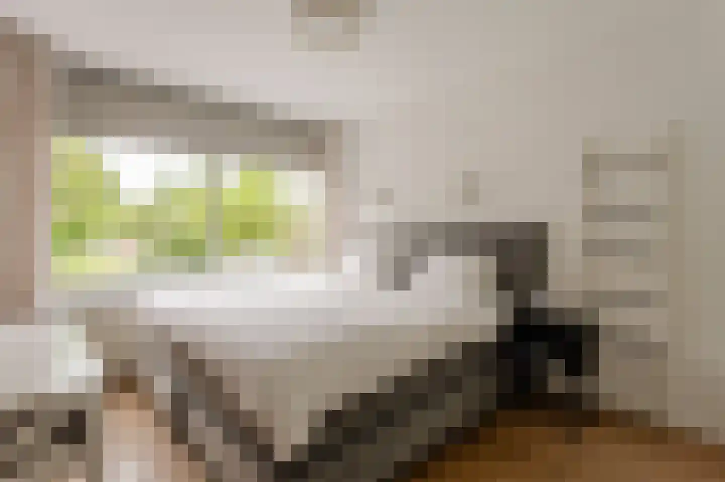 Fideliolaan 140 Amstelveen thumbnail 13