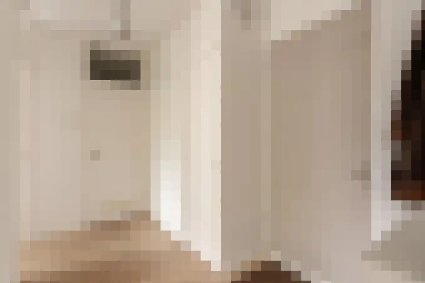 Fideliolaan 140 Amstelveen thumbnail 4