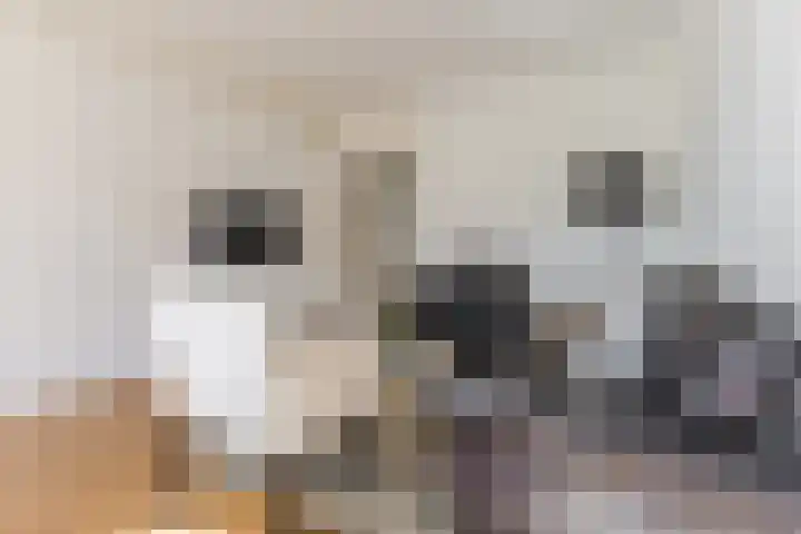 Fideliolaan 148 Amstelveen thumbnail 13