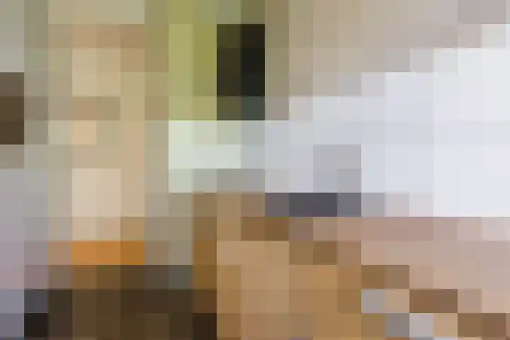 Fideliolaan 148 Amstelveen thumbnail 17