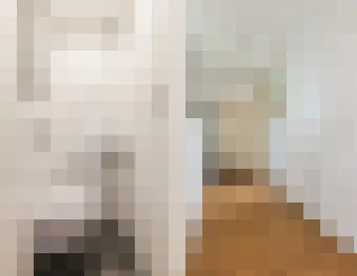 Fideliolaan 148 Amstelveen thumbnail 19