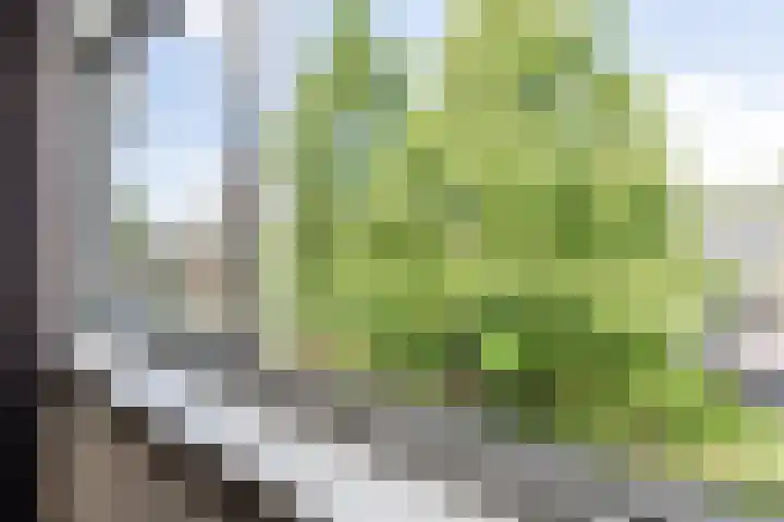 Fideliolaan 148 Amstelveen thumbnail 21