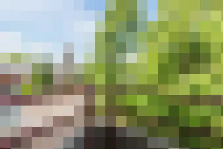 Fideliolaan 148 Amstelveen thumbnail 24