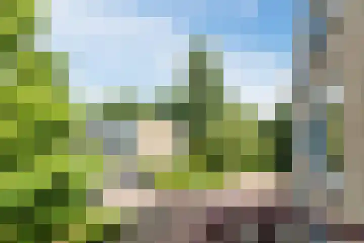 Fideliolaan 148 Amstelveen thumbnail 25