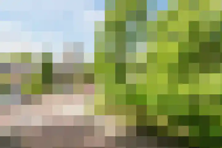 Fideliolaan 148 Amstelveen thumbnail 26