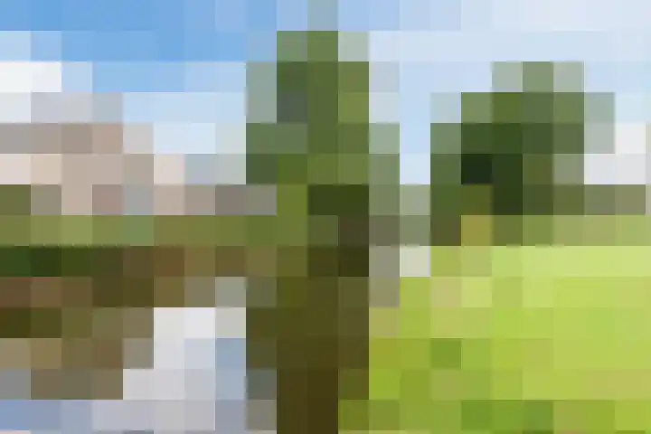 Fideliolaan 148 Amstelveen thumbnail 30