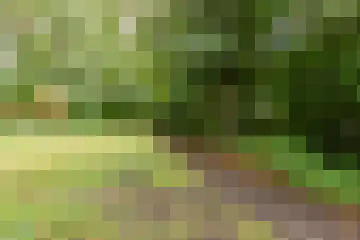 Fideliolaan 148 Amstelveen thumbnail 33
