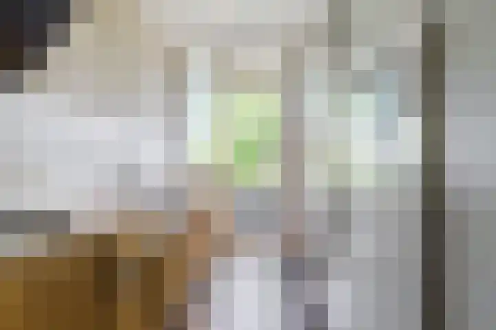 Fideliolaan 148 Amstelveen thumbnail 4