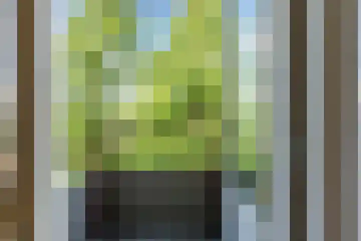Fideliolaan 148 Amstelveen thumbnail 5