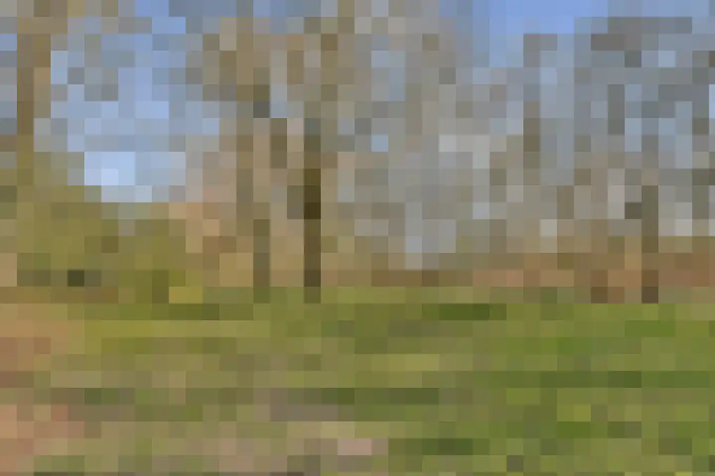 Fideliolaan 168 Amstelveen thumbnail 15