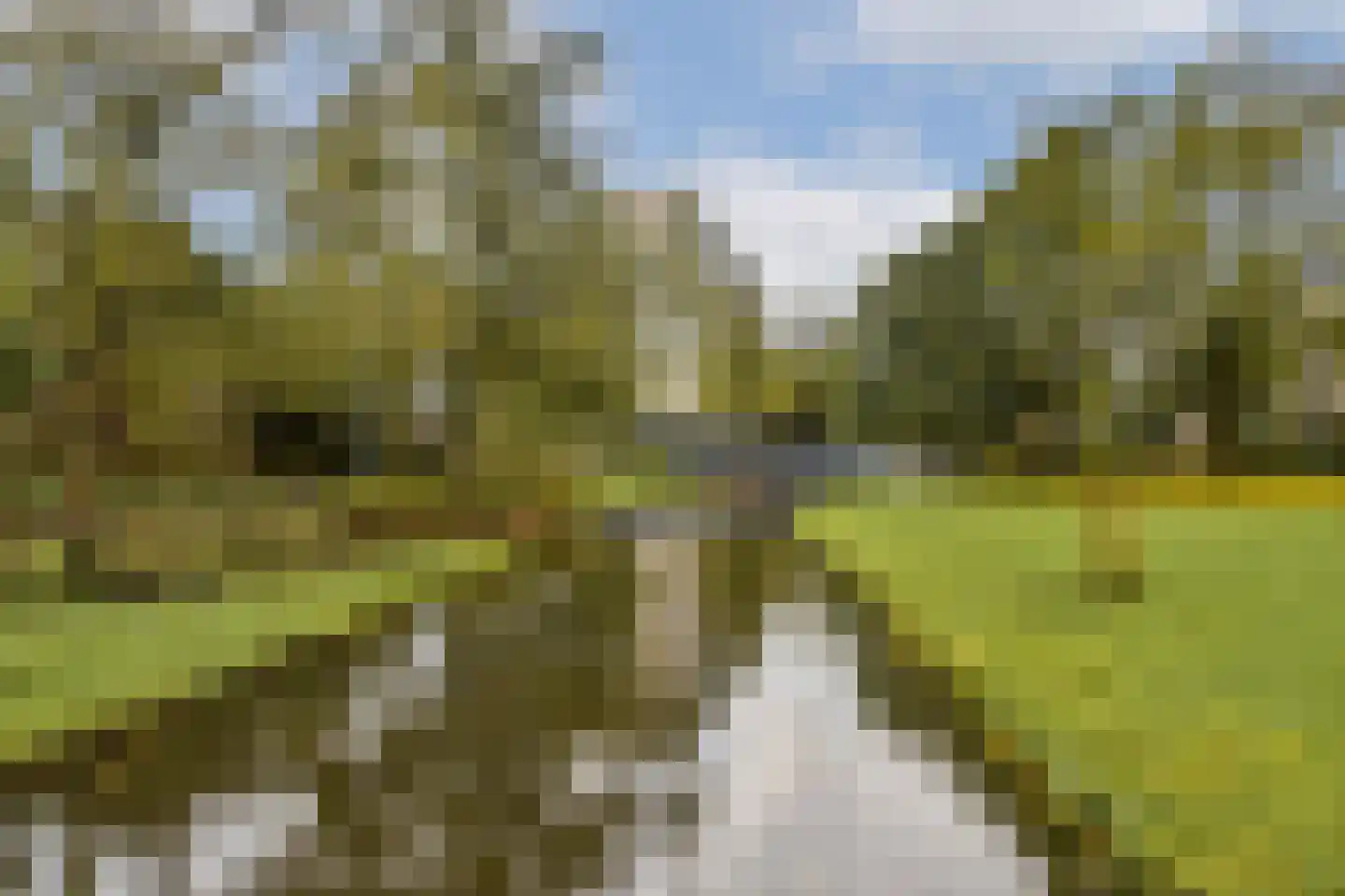 Fideliolaan 168 Amstelveen thumbnail 17