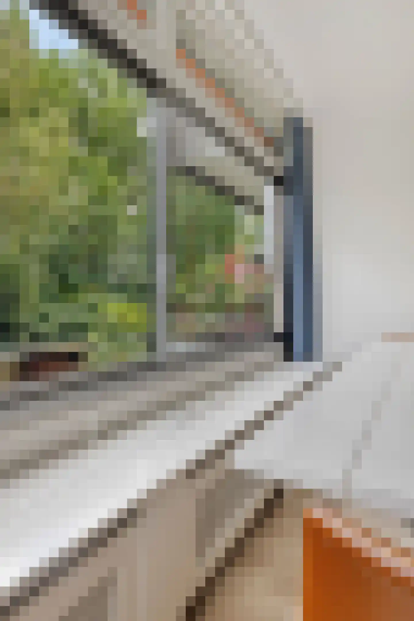 Fideliolaan 174 Amstelveen thumbnail 12