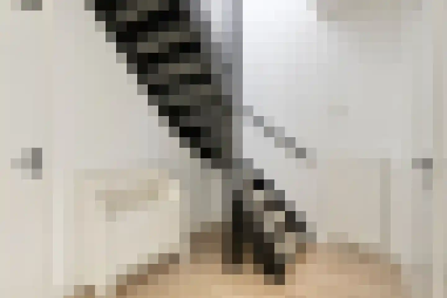 Fideliolaan 174 Amstelveen thumbnail 22