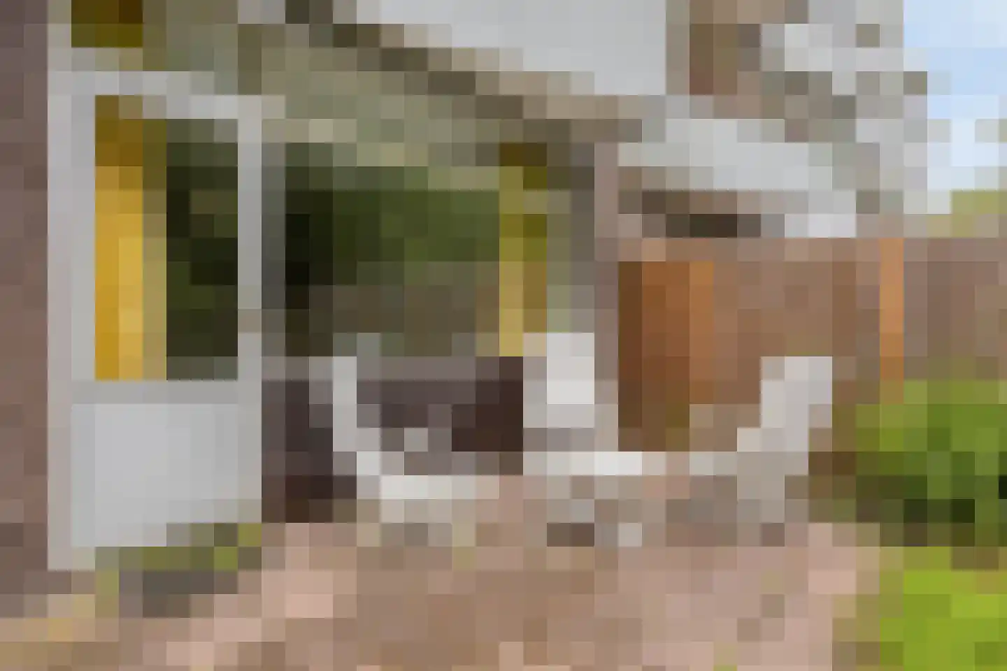 Fideliolaan 174 Amstelveen thumbnail 37