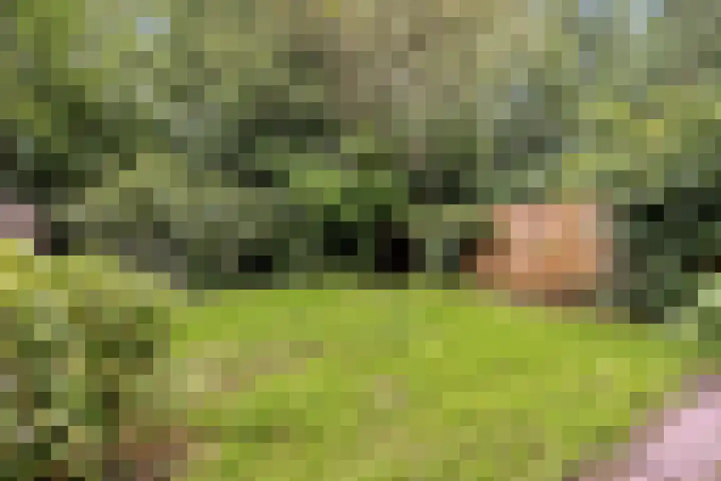 Fideliolaan 174 Amstelveen thumbnail 38
