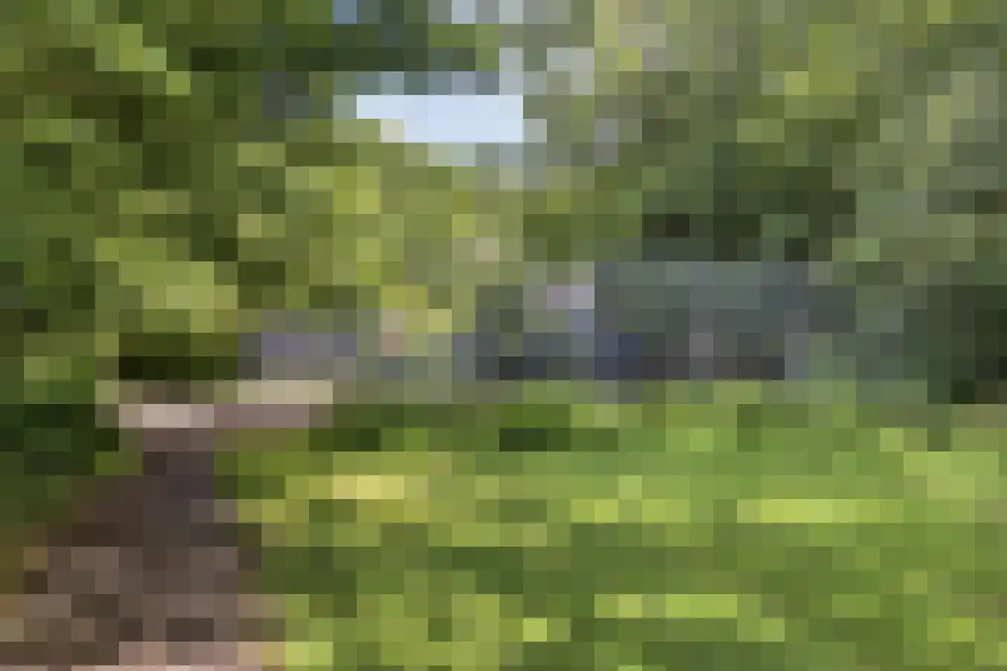 Fideliolaan 174 Amstelveen thumbnail 44