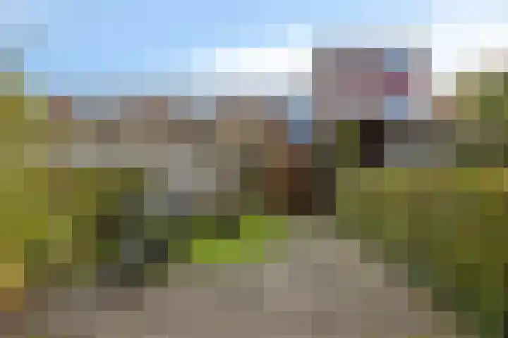 Fideliolaan 25 Hoogvliet Rotterdam thumbnail 12