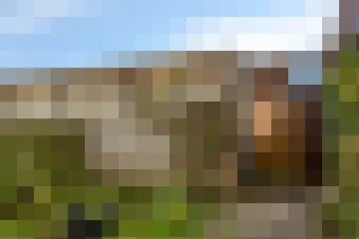 Fideliolaan 25 Hoogvliet Rotterdam thumbnail 13