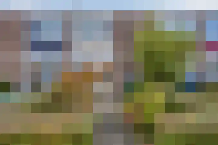 Fideliolaan 25 Hoogvliet Rotterdam thumbnail 22