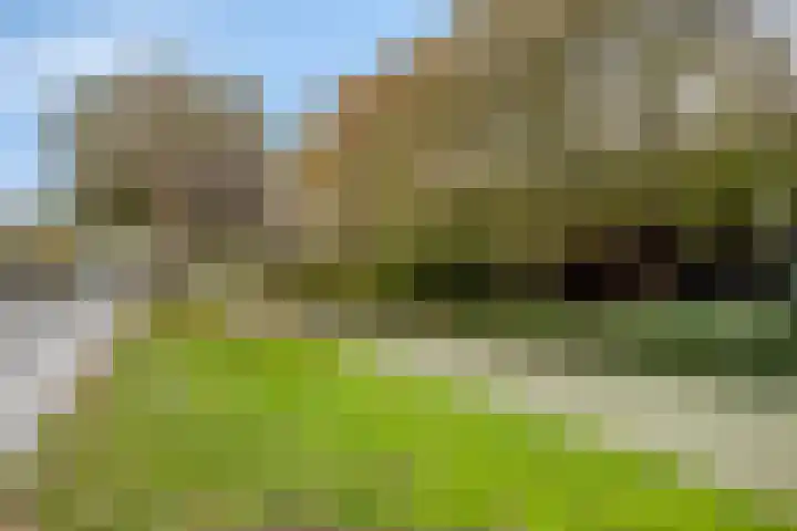 Fideliolaan 25 Hoogvliet Rotterdam thumbnail 25