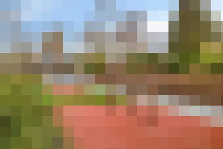 Fideliolaan 25 Hoogvliet Rotterdam thumbnail 26