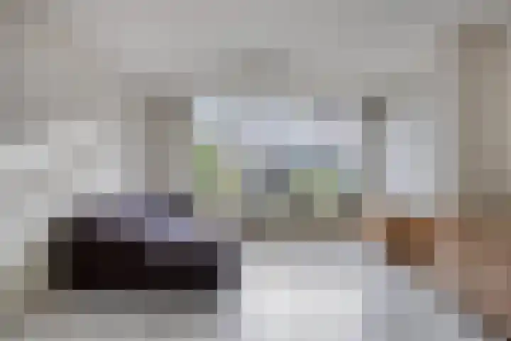 Fideliolaan 25 Hoogvliet Rotterdam thumbnail 4