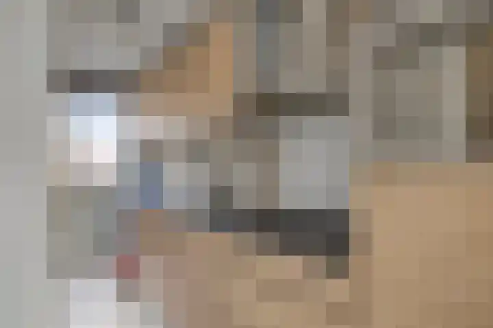 Fideliolaan 25 Hoogvliet Rotterdam thumbnail 7
