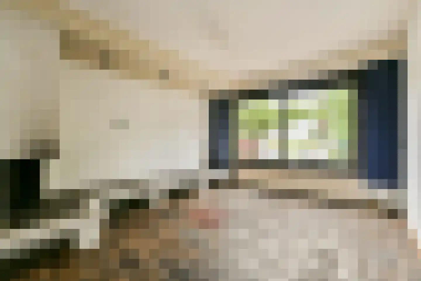 Fideliolaan 27 Amstelveen thumbnail 6