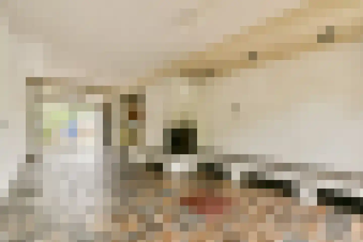 Fideliolaan 27 Amstelveen thumbnail 7
