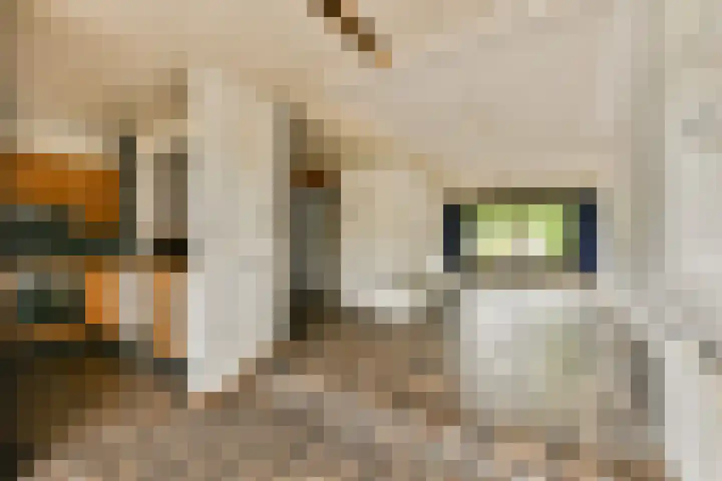 Fideliolaan 27 Amstelveen thumbnail 9