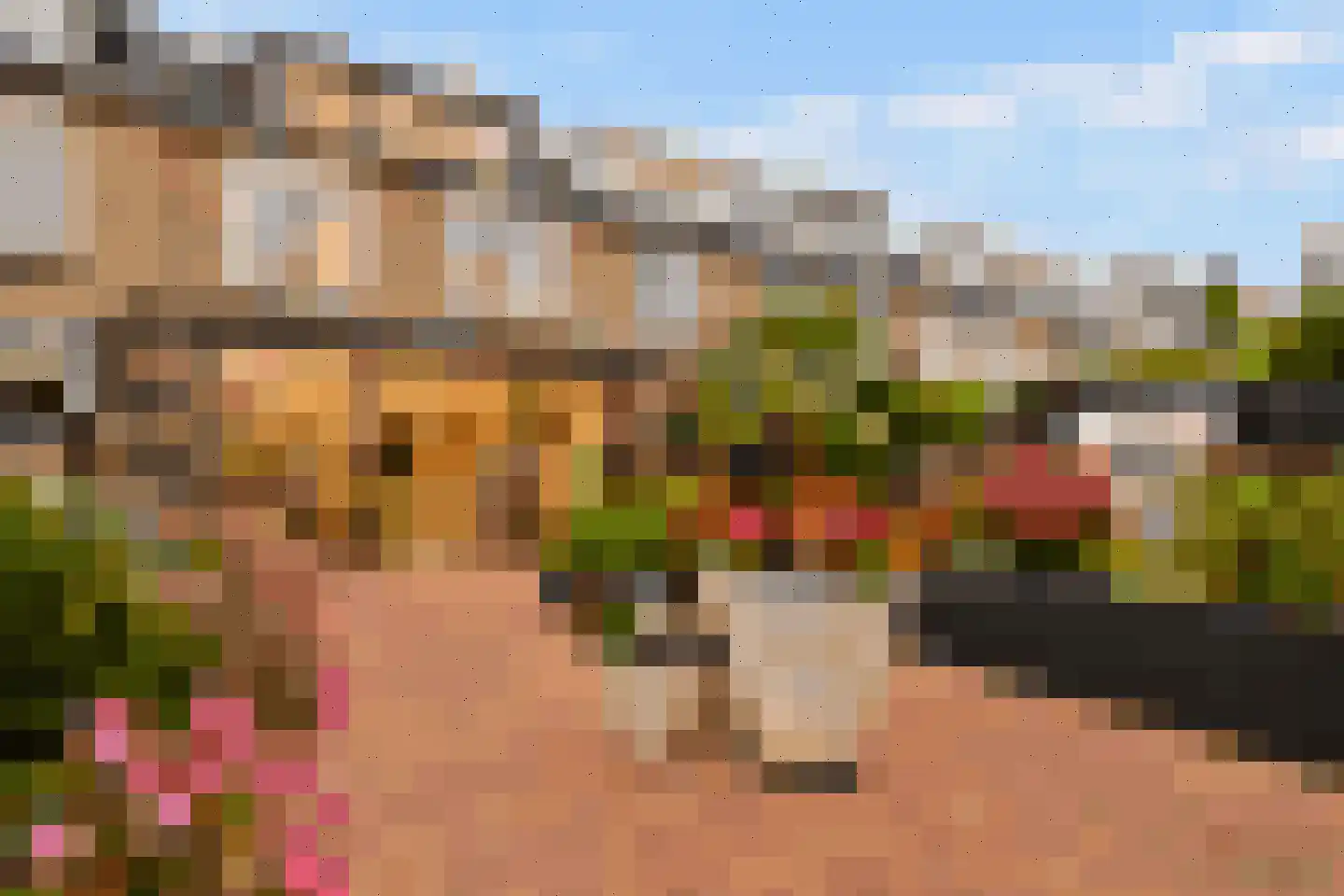 Fideliolaan 5 Amstelveen thumbnail 20