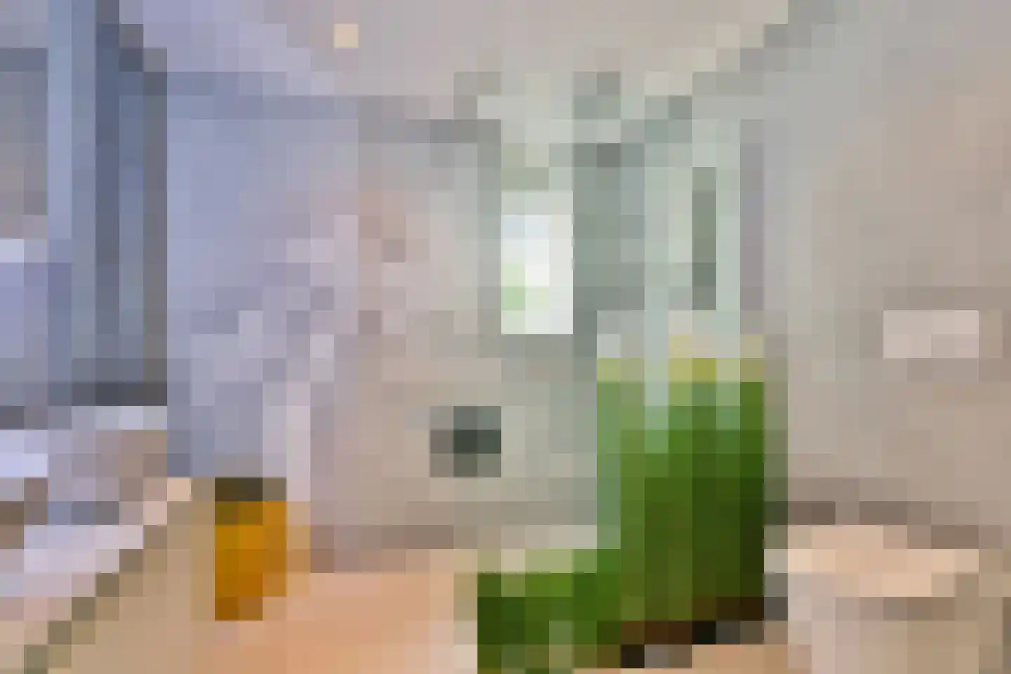 Fideliolaan 5 Amstelveen thumbnail 28