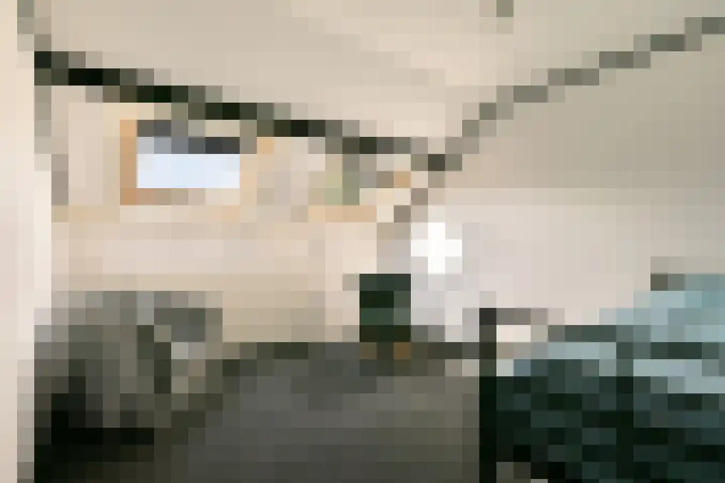 Fideliolaan 5 Amstelveen thumbnail 32