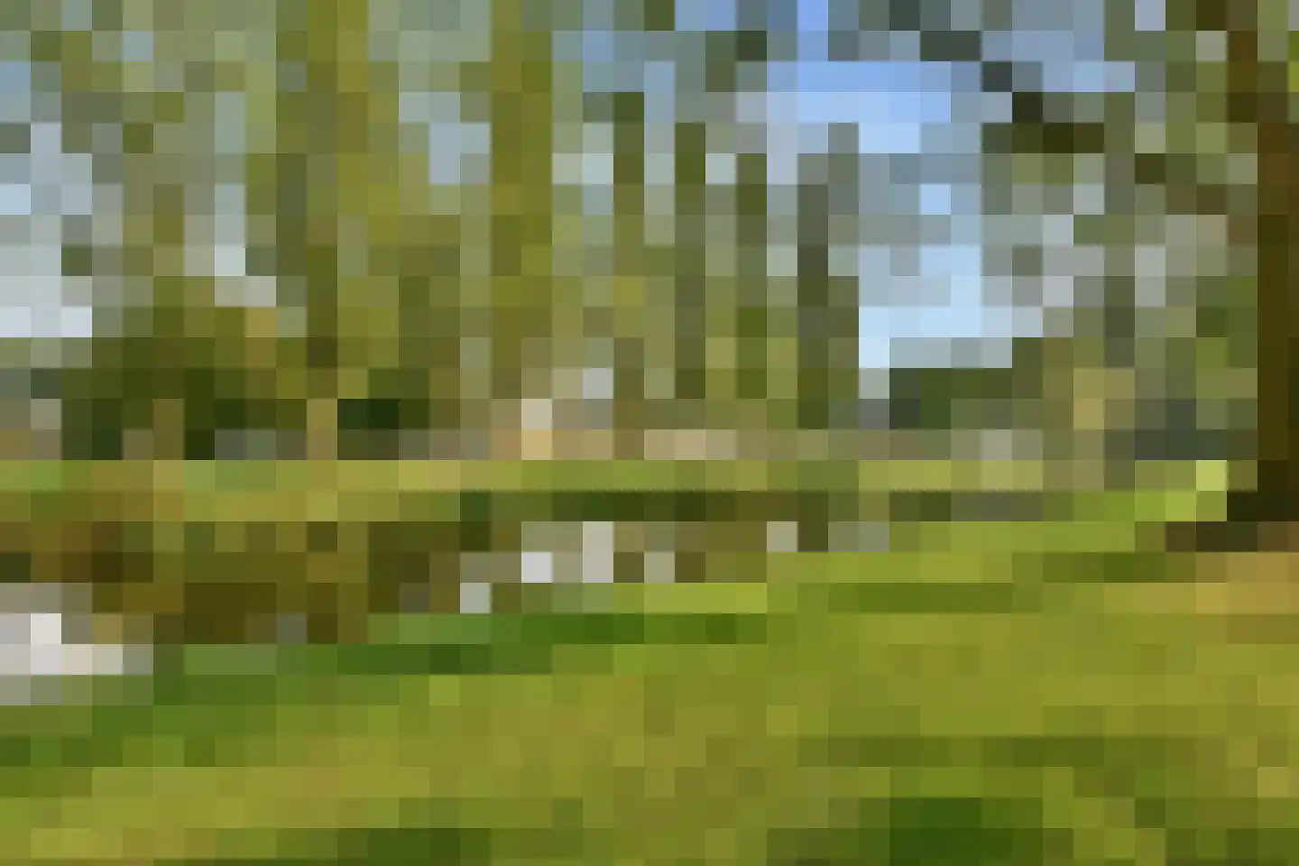 Fideliolaan 5 Amstelveen thumbnail 39